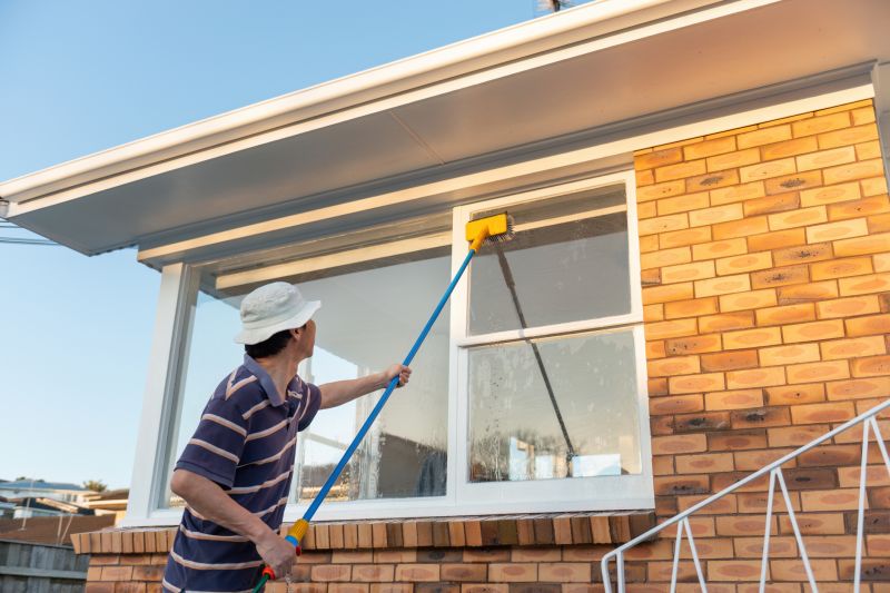 Brick Cleaning