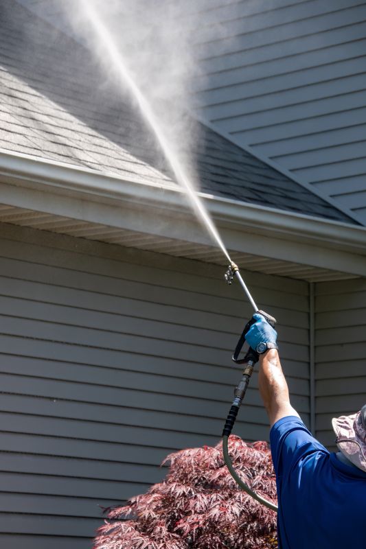 House Exterior Cleaning detail