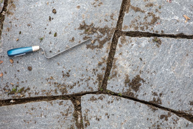 Patio Cleaning