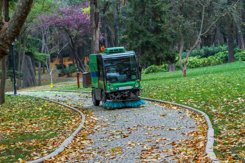 Sidewalk Cleaning