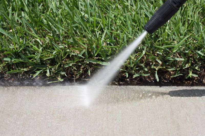 Sidewalk Cleaning