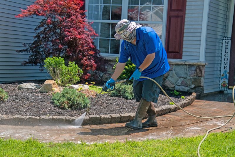 Sidewalk Cleaning